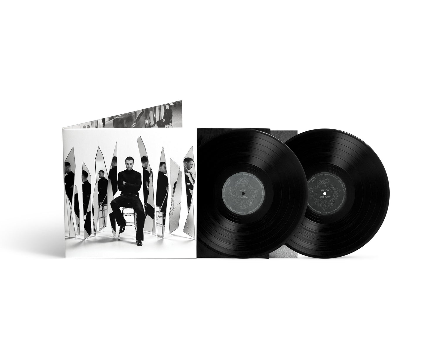 Are You Still You? Vinyl