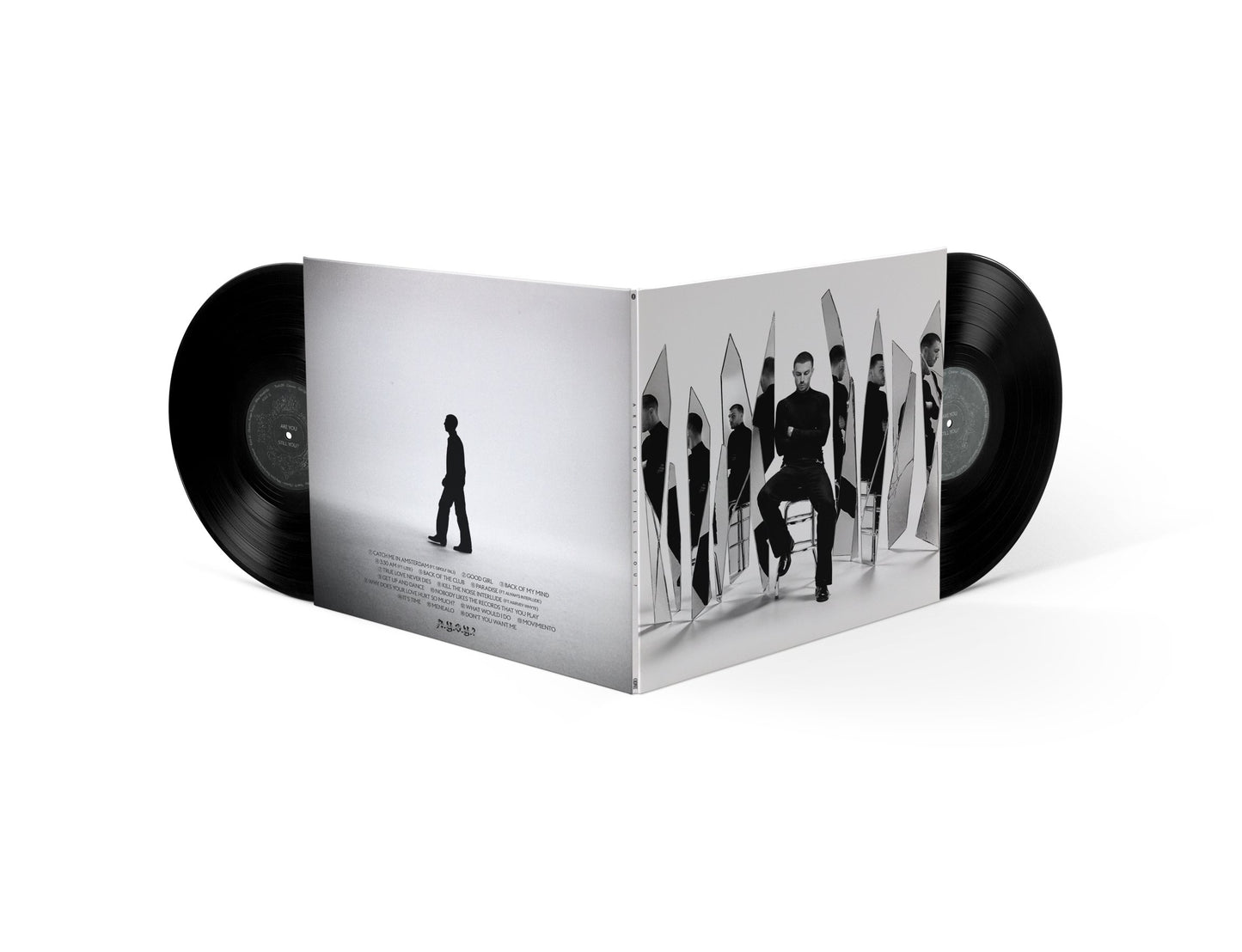 Are You Still You? Vinyl
