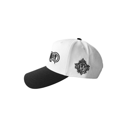 14. AYSY Crest Snapback